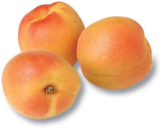 apricot Pictures, Images and Photos