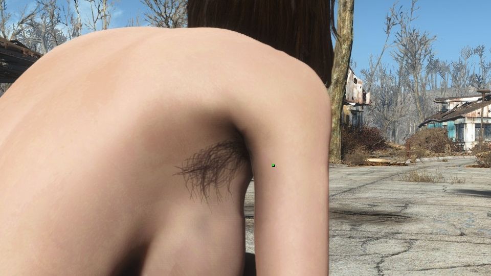 Armpit Hair And Pubes Fo4 At Fallout 4 Nexus Mods And Community