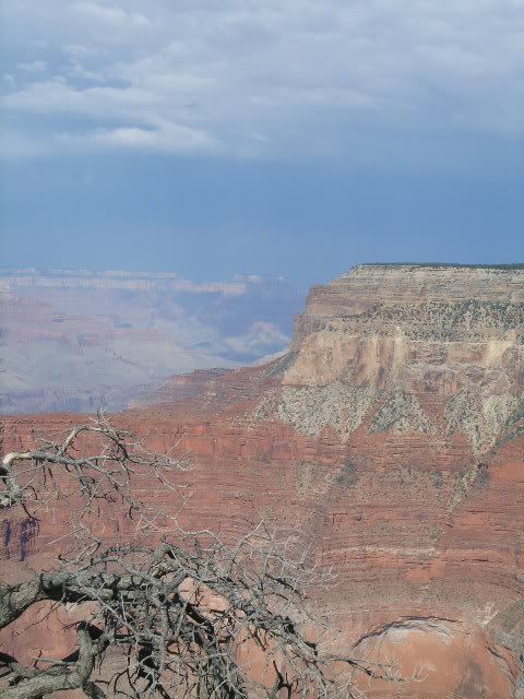 GrandCanyon13.jpg