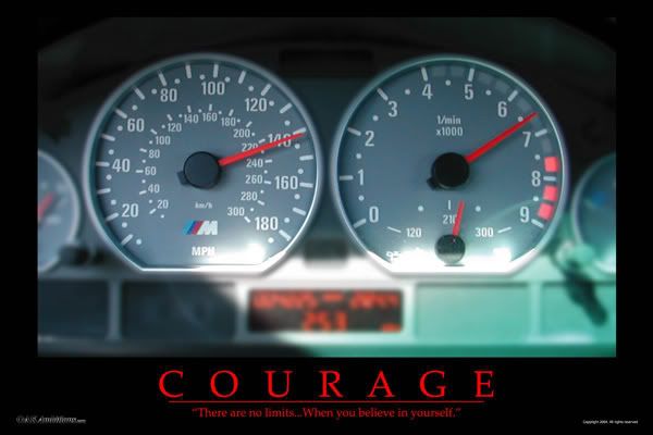 courage1.jpg