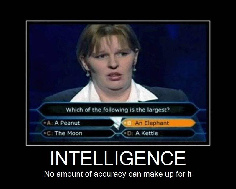 intelligence.jpg