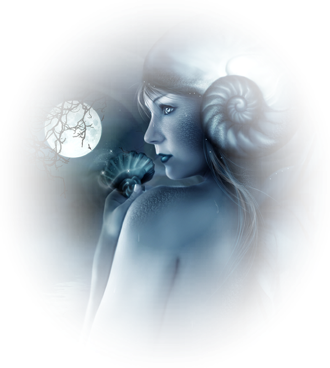 coquillage_lee.png picture by tatiana37