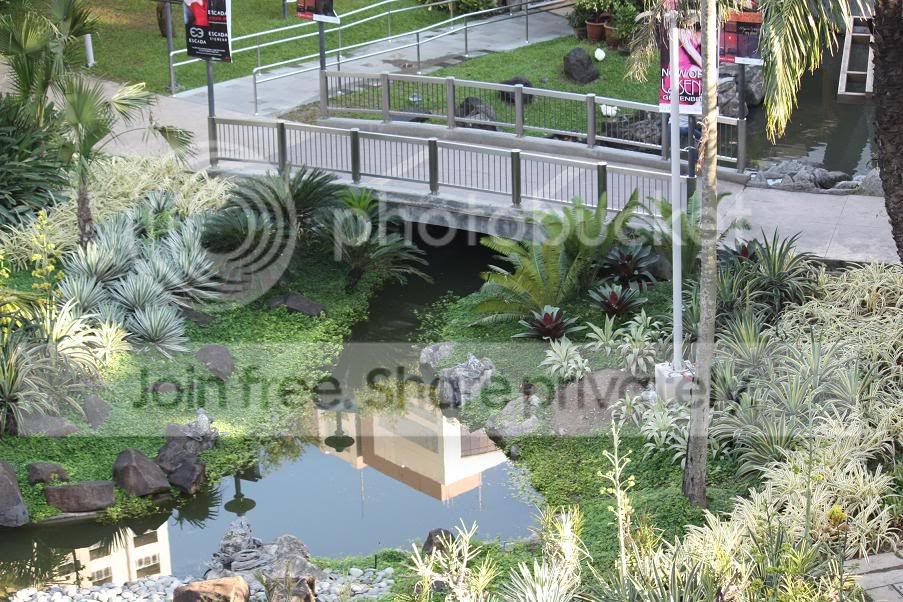 My Trip To The Philippines 2008 Lots Of Pics Honda Tech Honda Forum Discussion