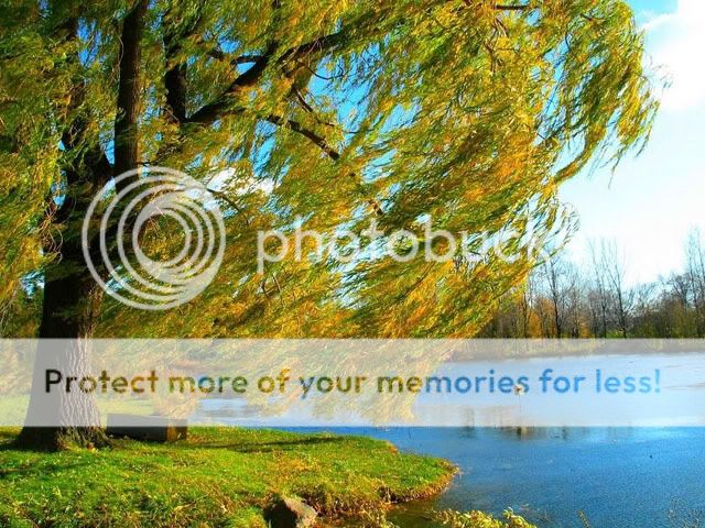 Photobucket - Video and Image Hosting