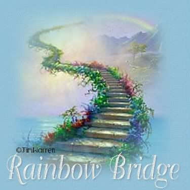rainbowbridge.jpg
