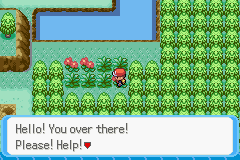 [PokeCommunity.com] Pokémon Liquid Ocean [HotY - 2006]