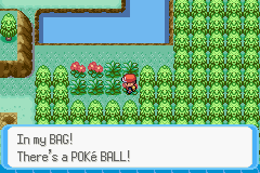 [PokeCommunity.com] Pokémon Liquid Ocean [HotY - 2006]
