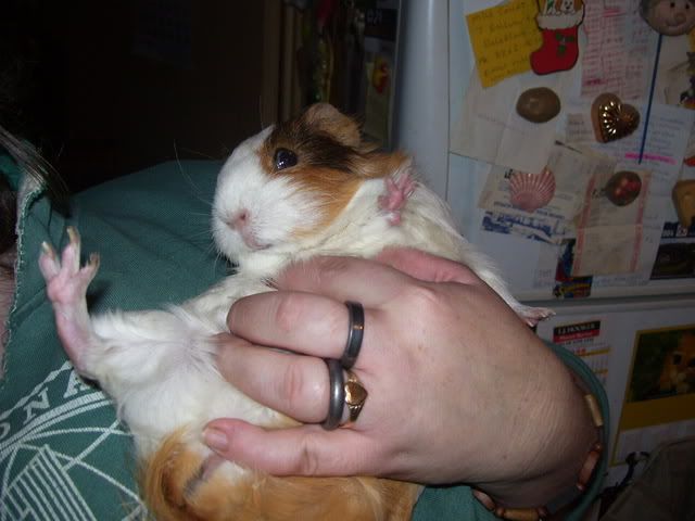 jessieandme7thjune2008.jpg