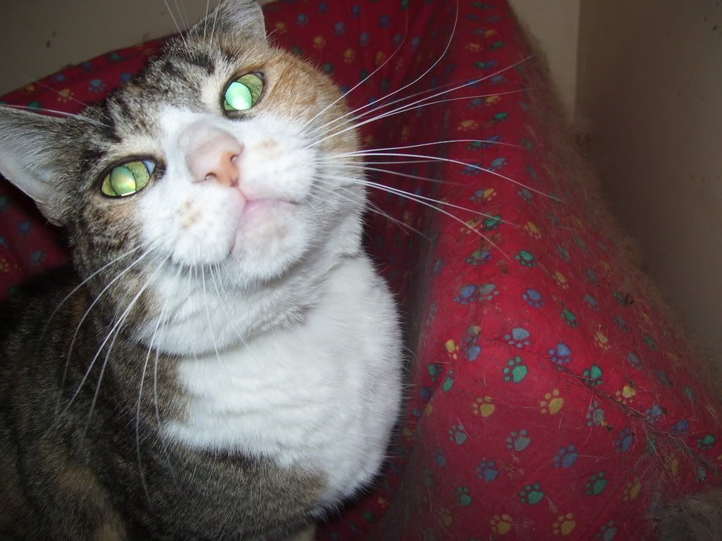 missy24may08.jpg