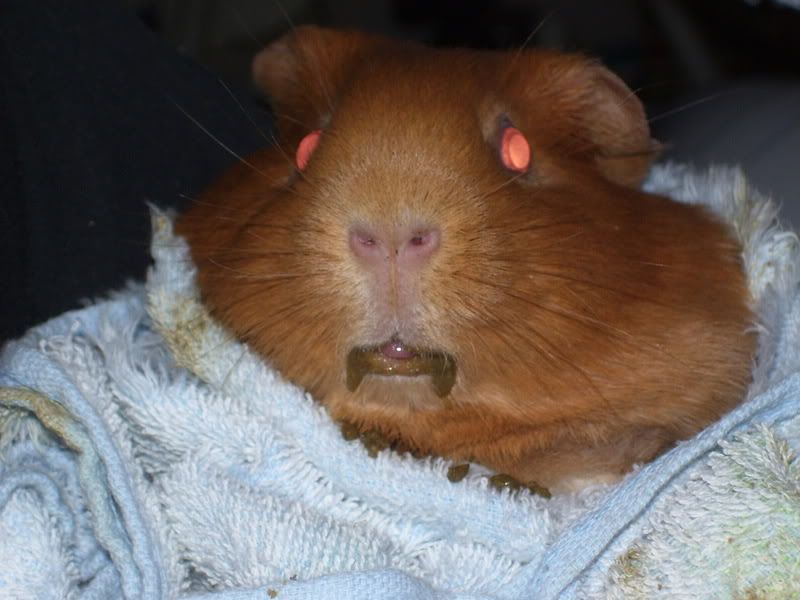 zoeandgrubbymouth.jpg