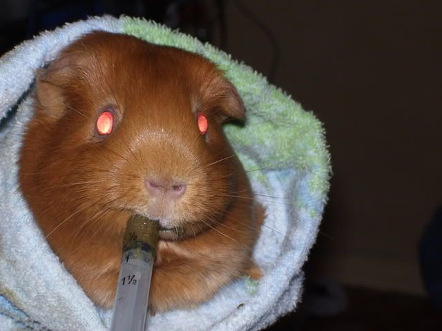 zoeeatingsyringe.jpg