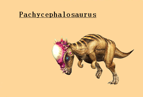 [PokeCommunity.com] ~Prehistoric~Pokemon~Club~