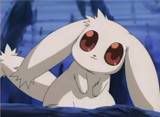 [PokeCommunity.com] Anime Watchers Club